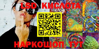 крисы Кандалакша