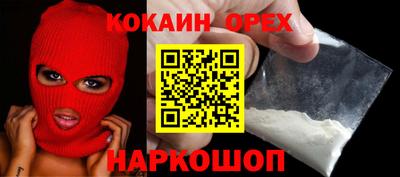 крисы Кандалакша