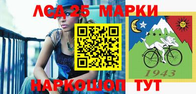 мдпв Камышлов