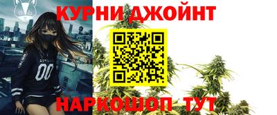 мдпв Камышлов