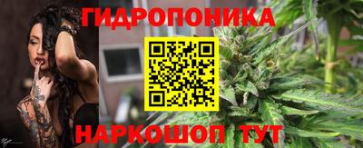 мдпв Камышлов
