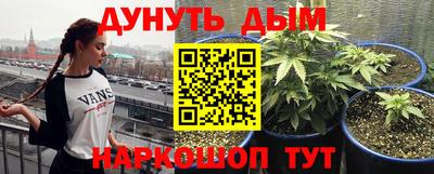 мдпв Камышлов